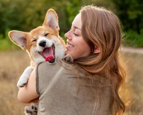 Google-1200x628-Dog-C