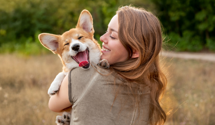 Google-1200x628-Dog-C